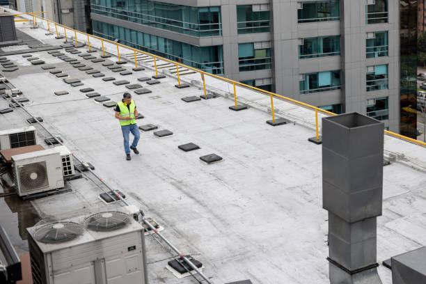 Best Chimney Flashing Repair  in Aiea, HI