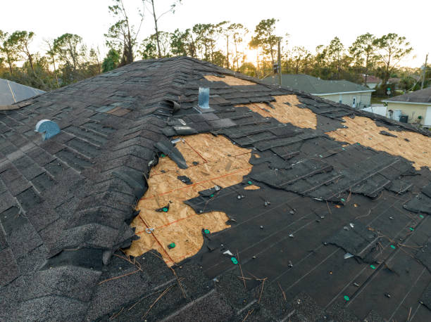 Best Asphalt Shingle Roofing  in Aiea, HI