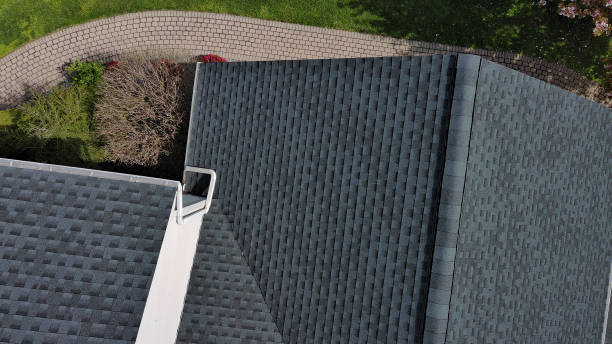 Best Roof Insulation Installation  in Aiea, HI