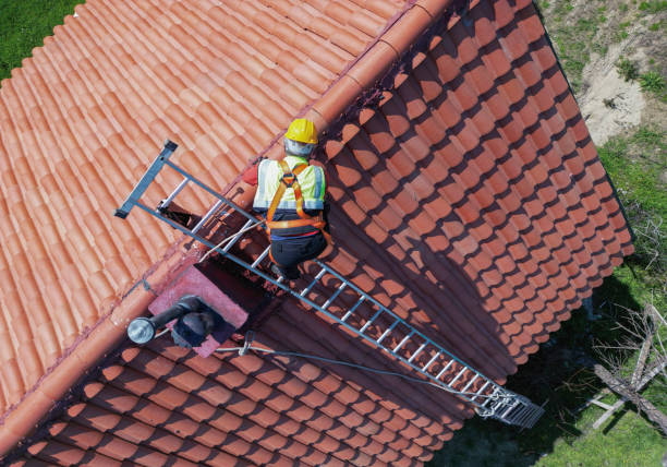 Fast & Reliable Emergency Roof Repairs in Aiea, HI